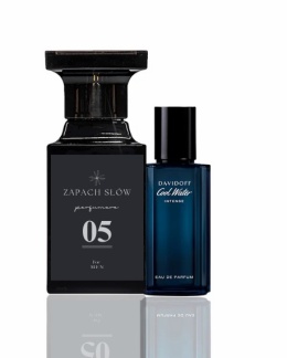 05 Davidoff Cool Water- Perfumy męskie inspirowane