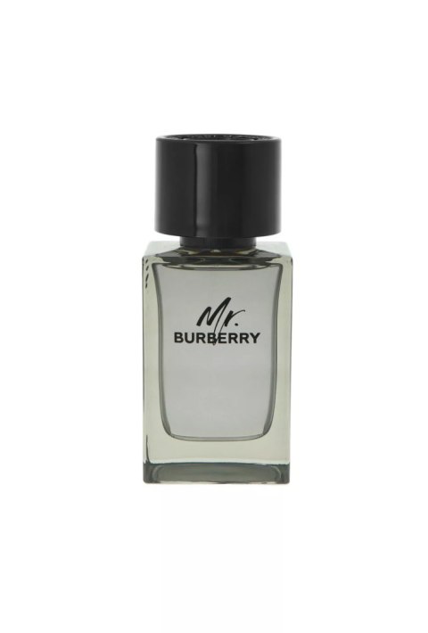 Burberry Mr. Burberry Edt 100ml