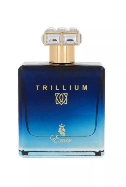Paris Corner Emir Trillium Edp 100ml